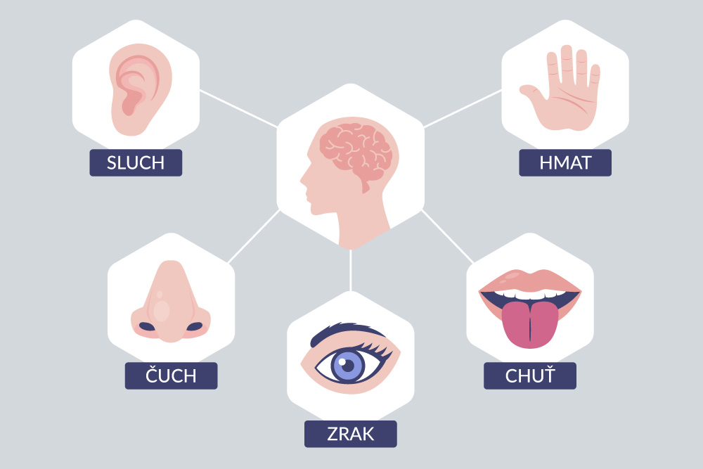 Obr. 2. Päť zmyslov človeka
